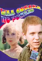  Шла собака по роялю смотреть онлайн (1979) 