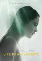  Жизнь на виду смотреть онлайн (2014) 